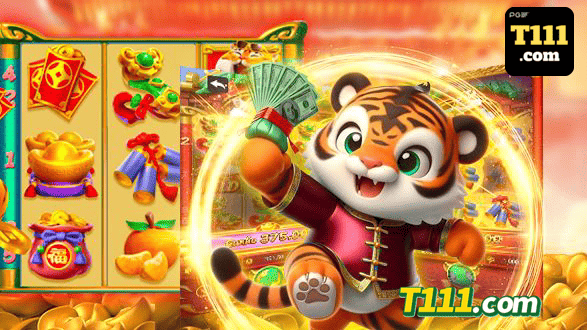 T111 Rio de Janeiro - Licenses